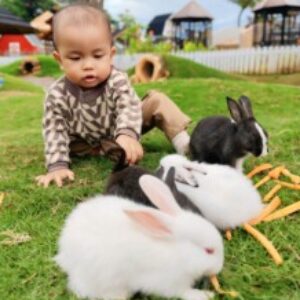 Profile photo of tantriindarpratiwii@gmail.com